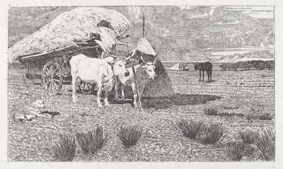 Arabaya Bağlanmış Öküz (Maremma) [Bovi al carro (Maremma)] by Giovanni Fattori