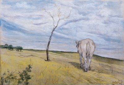 Beyaz At, Giovanni Fattori (1825-1908) by Giovanni Fattori