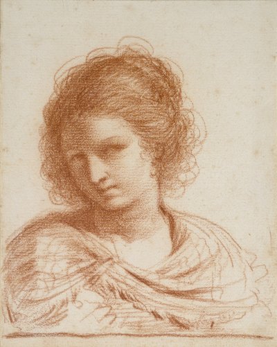 Genç Bir Kadının Başı, 1650 - 1666 (beyaz kağıt üzerine kırmızı tebeşir) by Giovanni Francesco Barbieri
