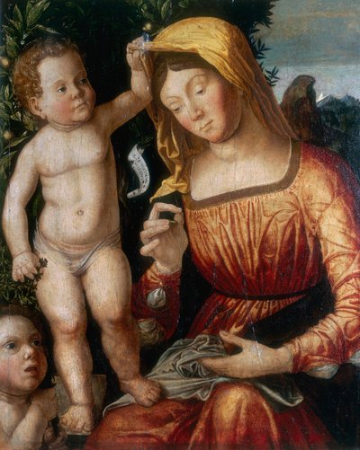 terzi Madonna by Giovanni Francesco Caroto