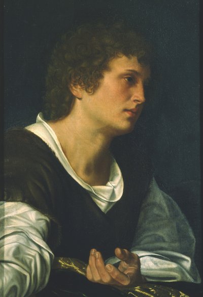 Aziz John the Evangelist (tuval üzerine yağlı boya) by Giovanni Girolamo Savoldo