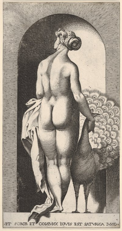 Plaka 4: Juno bir niş içinde duruyor, arkadan bakıldığında, sağında bir tavus kuşunu okşuyor, fr..., 1526. by Giovanni Jacopo Caraglio