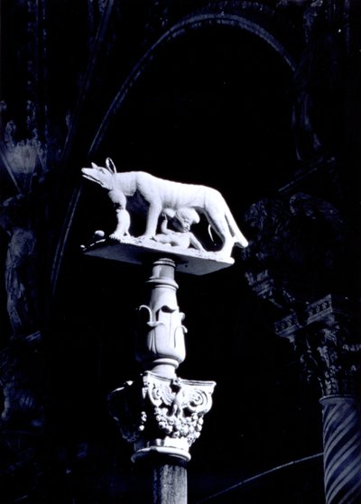 Sienese Wolf, ikizler Romulus ve Remus ile, Piazza del Duomo