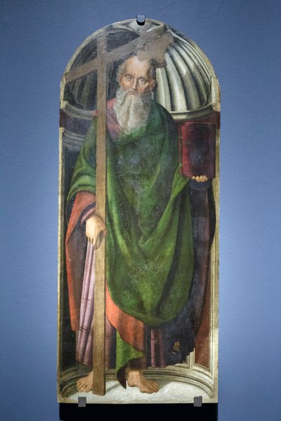  by Giovanni Santi