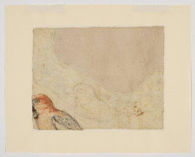 Kuş çalışması, verso (kağıt üzerinde tebeşir) by Giovanni da Udine (after)
