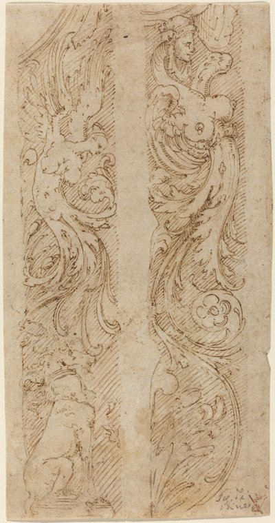 Duvar Panelleri İçin Grotesk Süslemeler by Giovanni da Udine