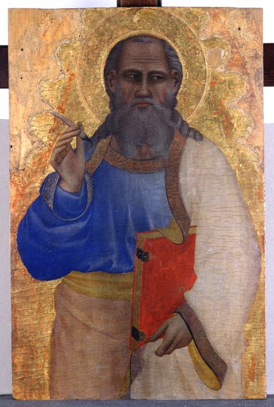John the Evangelist, c.1365 (kavak ağacı üzerinde tempera) by Giovanni del Biondo dal Casentino