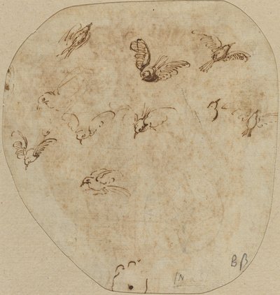 Uçan Kuşlar [verso] by Girolamo Mazzola Bedoli