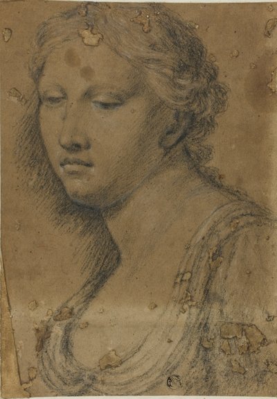 kadın büstü by Girolamo da Carpi