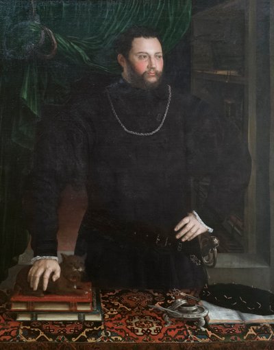 Bir beyefendinin portresi by Girolamo da Carpi