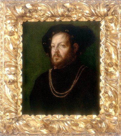 Bir adamın portresi, Girolamo da Carpi