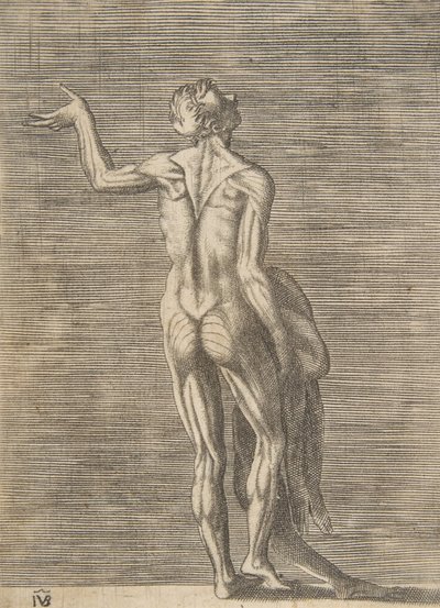 Sol eli kalçasında, cildi sağ elinde tutan derisi yüzülmüş adam, yakl. 1531-76. by Giulio Bonasone