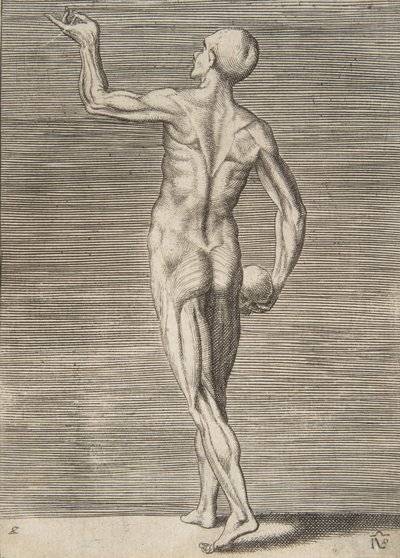 Sağ elinde bir Kafatası tutan arkadan görülen adam, 16. yüzyıl. by Giulio Bonasone