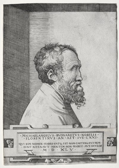 Sağa bakan profilde Michelangelo