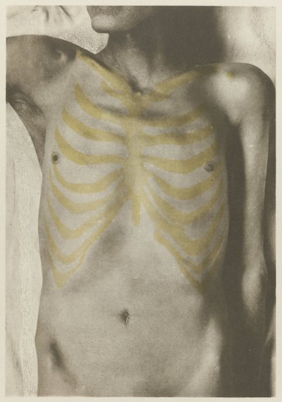 Anatomik foto van een mannelijk lijk: 