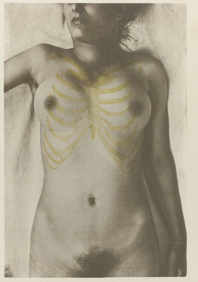 Anatomische foto van een vrouwelijk lijk: 'de vorm van de borstpartij in relatie tot het skelet' (İskelete göre memenin şekli] Sanatçıların kullanması için insan anatomisi Atlası : üreme ve illüstrasyon, anatomik by Giulio Chiarugi (attributed to)