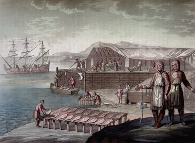 Newfoundland sakinleri tarafından yapılan morina balıkçılığı - Ferrario, ed. Milano by Giulio Ferrario