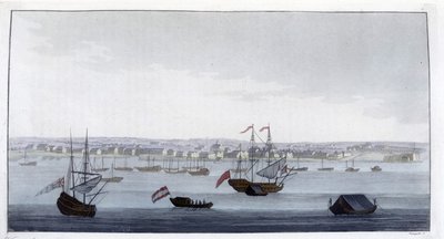Paramaribo (Guyana) şehrinin görünümü - Dr. Jules Ferrario