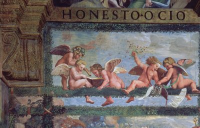 Rustik Ziyafet, Sala di Amore e Psiche