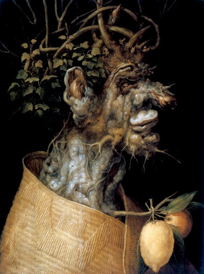 Kış, 1563 by Giuseppe Arcimboldi