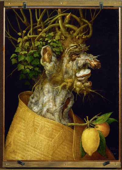  by Giuseppe Arcimboldo