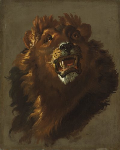 Aslan by Giuseppe Baldrighi