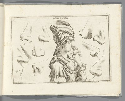 Koku Odorare (nesne üzerindeki başlık) by Giuseppe Maria Mitelli