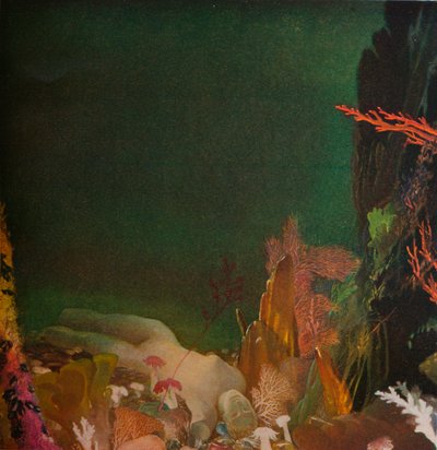 Deniz Altında, c1904-1924, 1924 by Glyn Warren Philpot