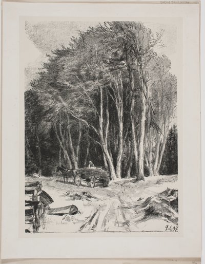 ormansızlaşma by Godfred Christensen