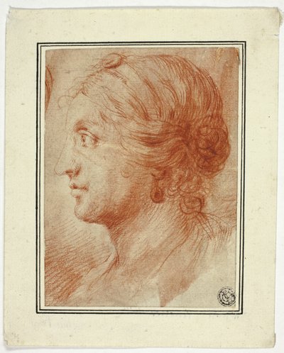 Soldaki Profilde Kadın Büstü by Godfrey Kneller