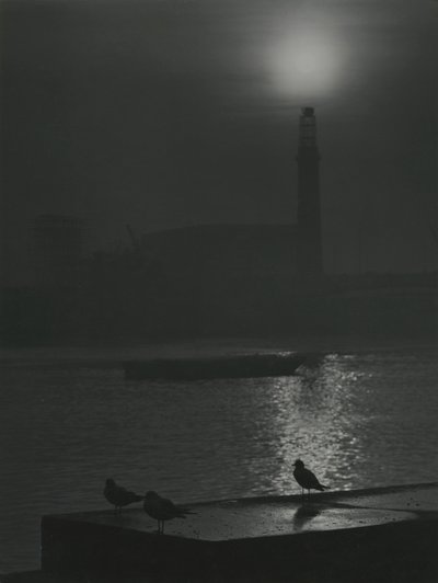 Thames Nehri yakınlarında alacakaranlıkta martı siluetleri by Godfrey Macdominic