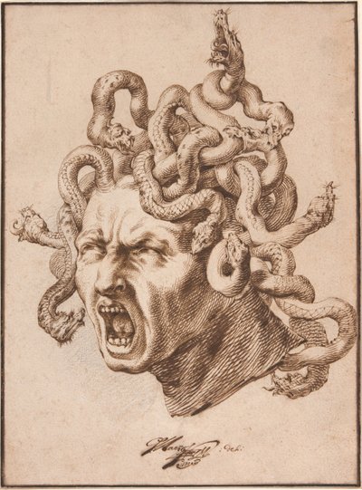 Medusa