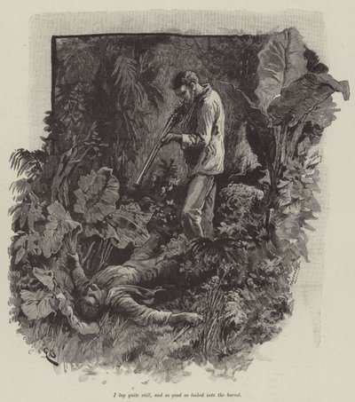 Uma veya Falesa Sahili, Robert Louis Stevenson by Gordon Frederick Browne
