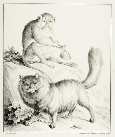 kedi ve maymun by Gottfried Engelmann