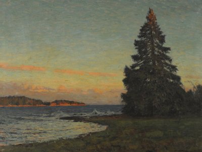 Köknar Ağacı by Gottfried Kallstenius