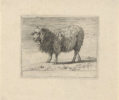 Koç Çeşitli hayvanlar (dizi başlığı) by Govert van der Leeuw