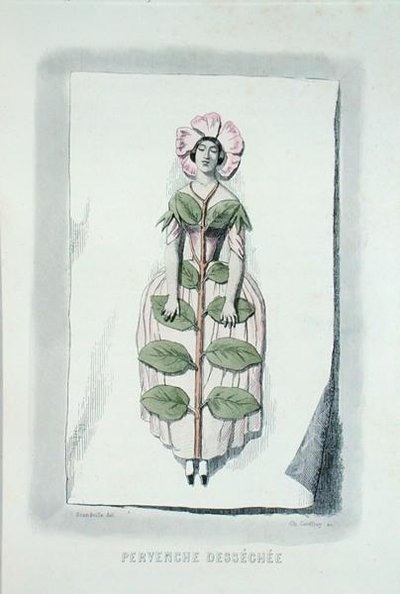Solmuş deniz salyangozu, Charles Geoffroy (1819-82) tarafından kazınmış 