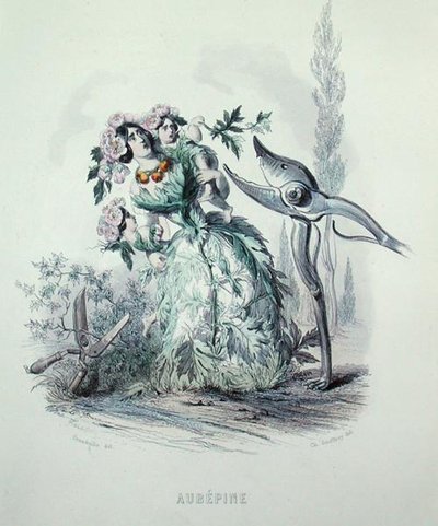 Charles Geoffroy (1819-82) tarafından kazınmış 
