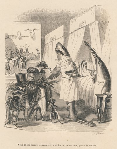 Tıbbi köpekbalıkları ameliyatlarını açıklıyor. JJ Granville tarafından gösterilen vinyetler. "Hayvanların özel ve kamusal yaşamından sahneler"de Pierre Bernard tarafından yazılan "Les Animaux medecins" başlıklı kısımda Godard imzalı gravür. Vasıtasıyla by Grandville