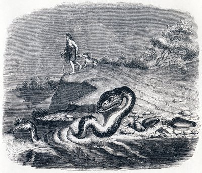 Yılanın önü ve kuyruğu - La Fontaine'in Masalları by Grandville