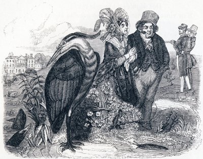 Balıkçıl (le Heron) - La Fontaine