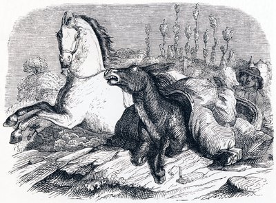 At ve eşek (Le cheval et l