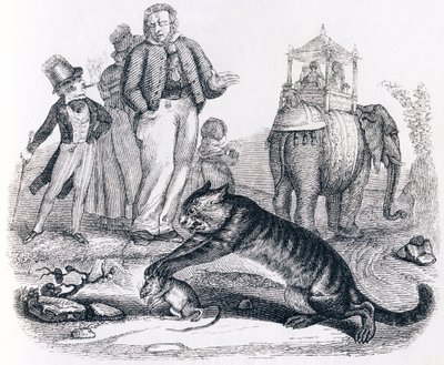 Sıçan ve fil (le rat et l