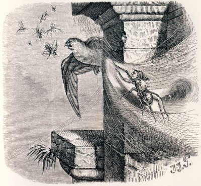 Örümcek ve kırlangıç (L'araignee et l'hirondelle) - La Fontaine'in Masalları by Grandville