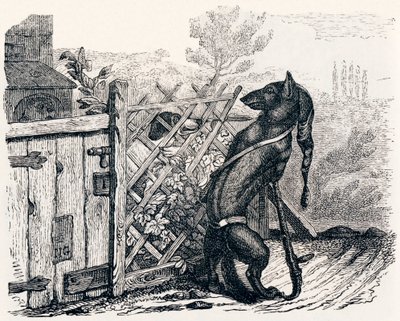 Kurt ve sıska köpek - La Fontaine