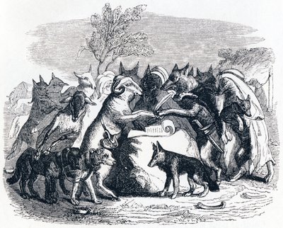 Kurtlar ve koyunlar - La Fontaine