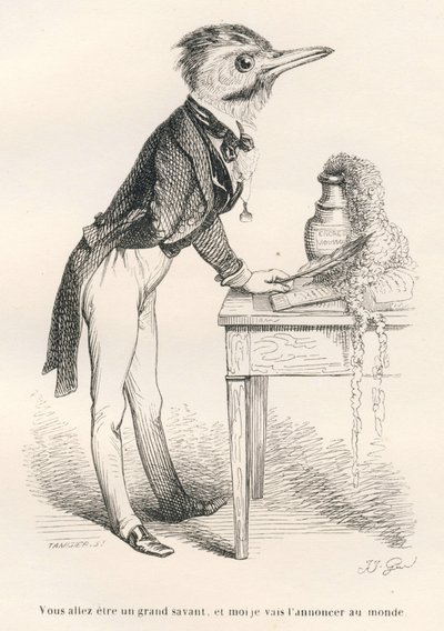 Sen büyük bir alim olacaksın ve ben bunu dünyaya ilan edeceğim. JJ Granville tarafından gösterilen vinyetler. Honore De Balzac tarafından yazılan "Onur elde etmek isteyen hayvanların kullanımı için rehber-eşek" başlıklı bölümde Tamisier imzalı gravür by Grandville