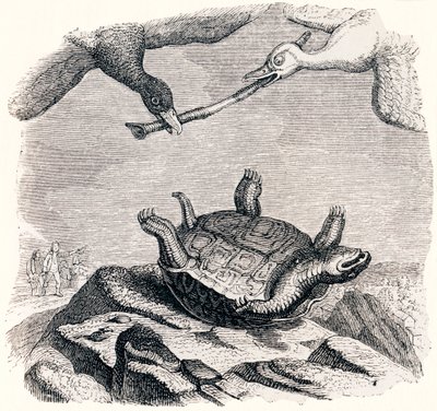 kaplumbağa ve iki ördek - La Fontaine Masalları by Grandville
