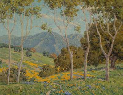 Haşhaş ve Okaliptüs (tuval üzerine yağlı boya) by Granville Redmond