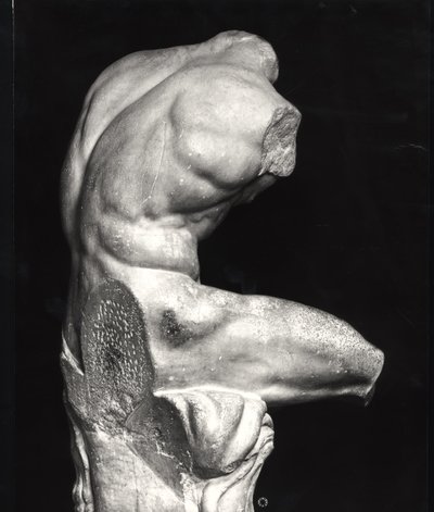 Belvedere gövde (mermer) (s/b fotoğraf) by Greco Roman Greco Roman